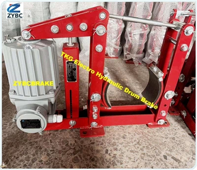 बुल्गारिया के ग्राहकों के लिए टीकेजी इलेक्ट्रो हाइड्रोलिक ड्रम ब्रेक